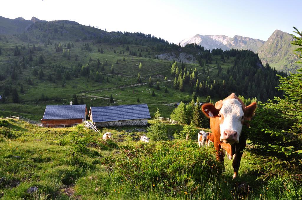 شقة Urlaub Am Raderhof In Der Ferienregion Lungau ماوترندورف المظهر الخارجي الصورة